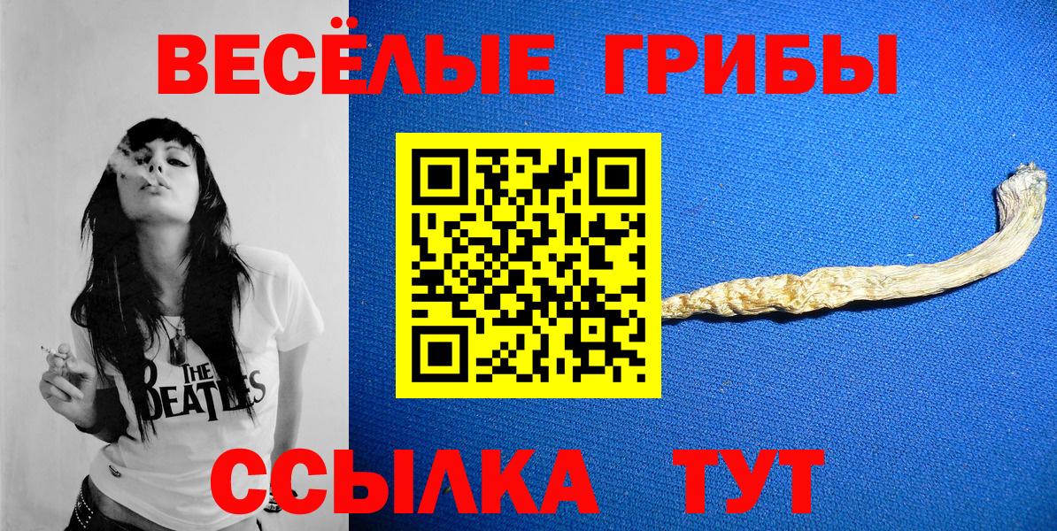 Трёхгорный  Псилоцибиновые грибы MAGIC MUSHROOMS  Вход с VPN 